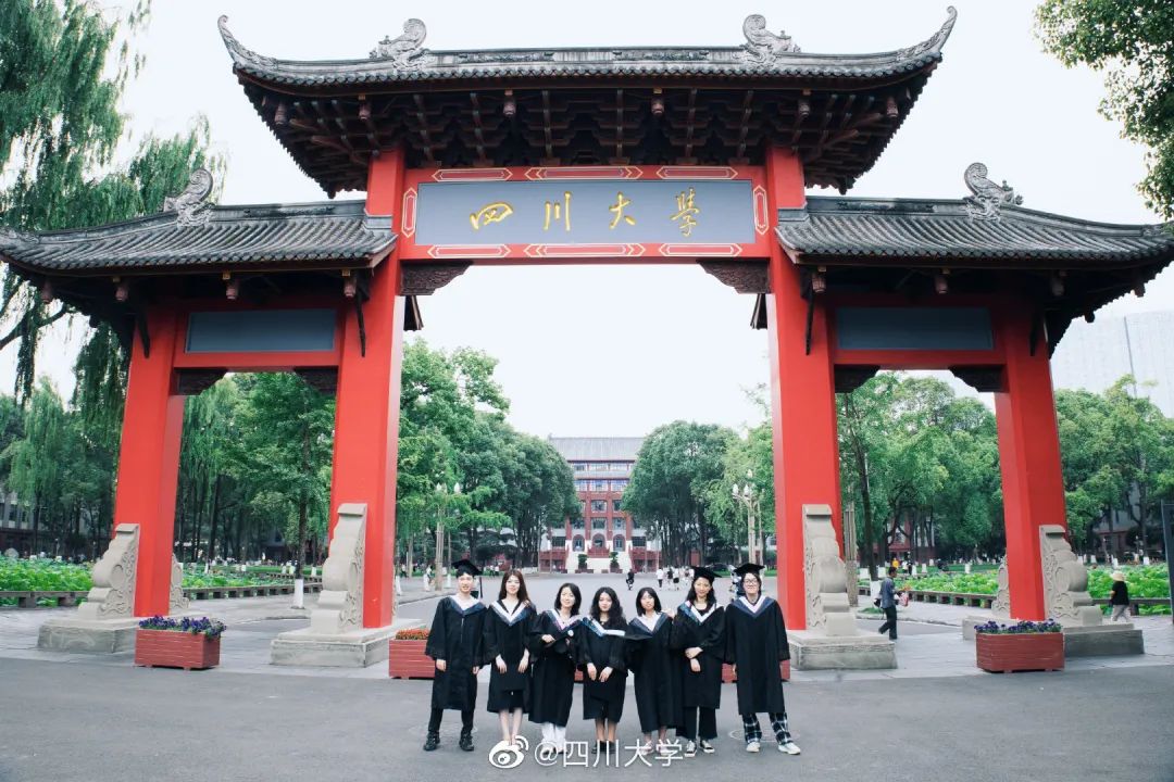 zenaida custodio tweet media