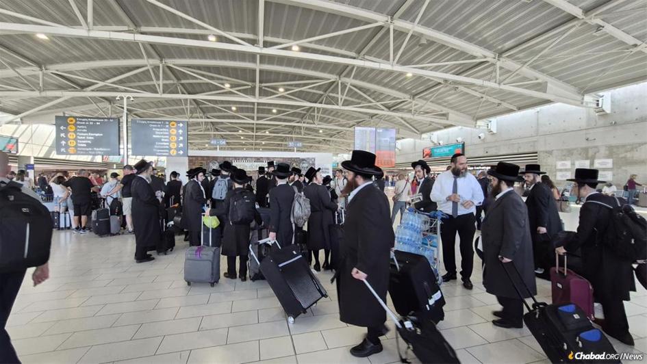 𝙃𝘼𝙕𝘼𝙍 tweet media