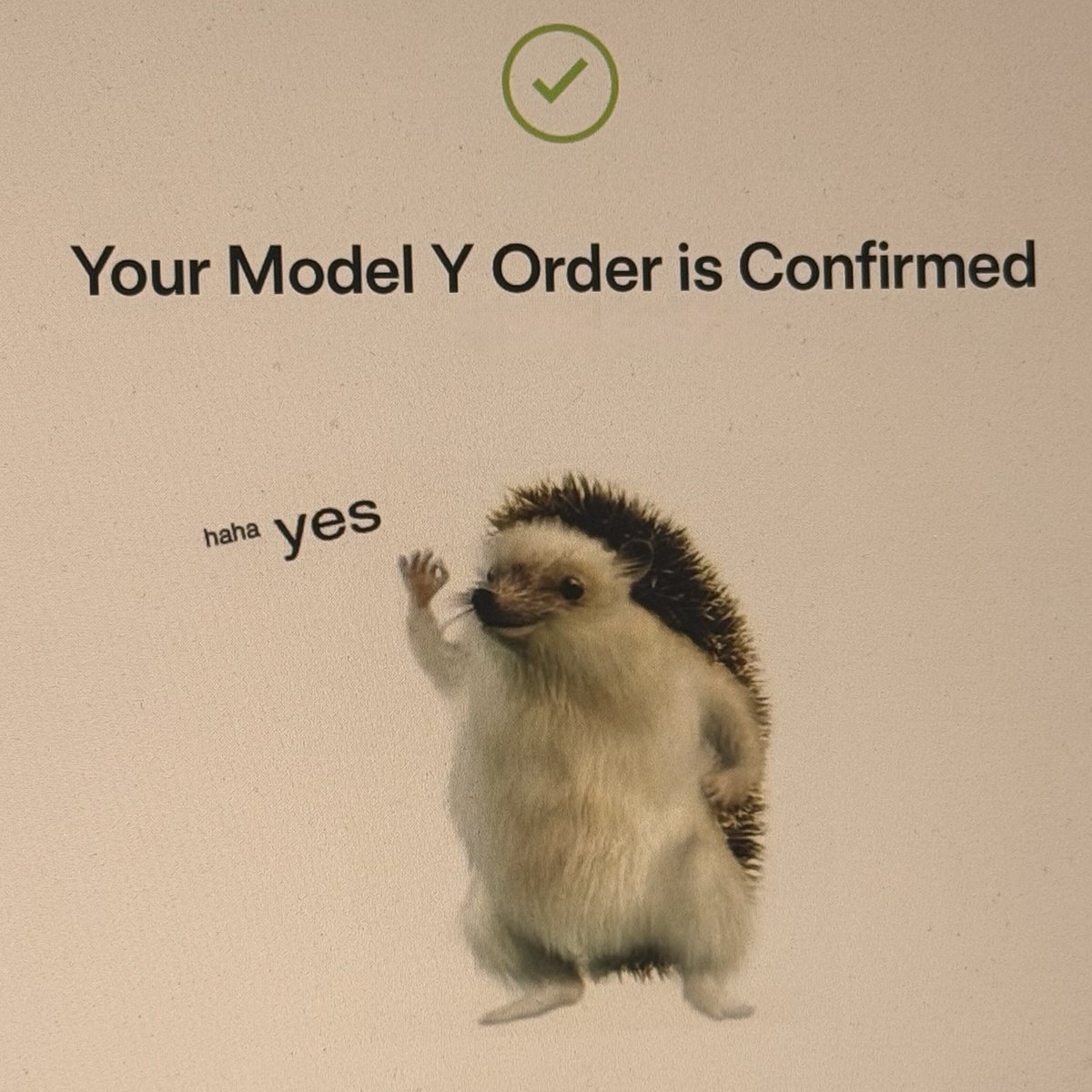 Ryan's Model Y tweet media