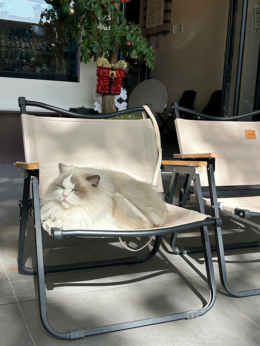 Folomens tweet media