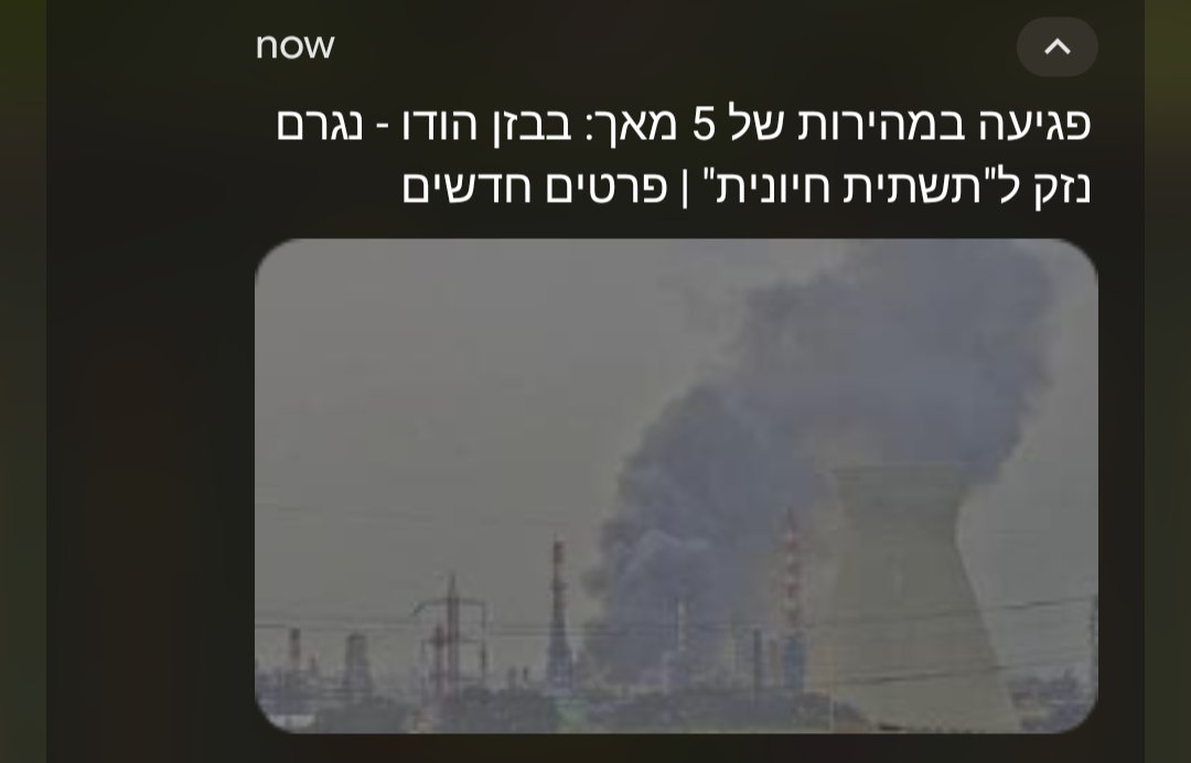 Limor Toledo tweet media