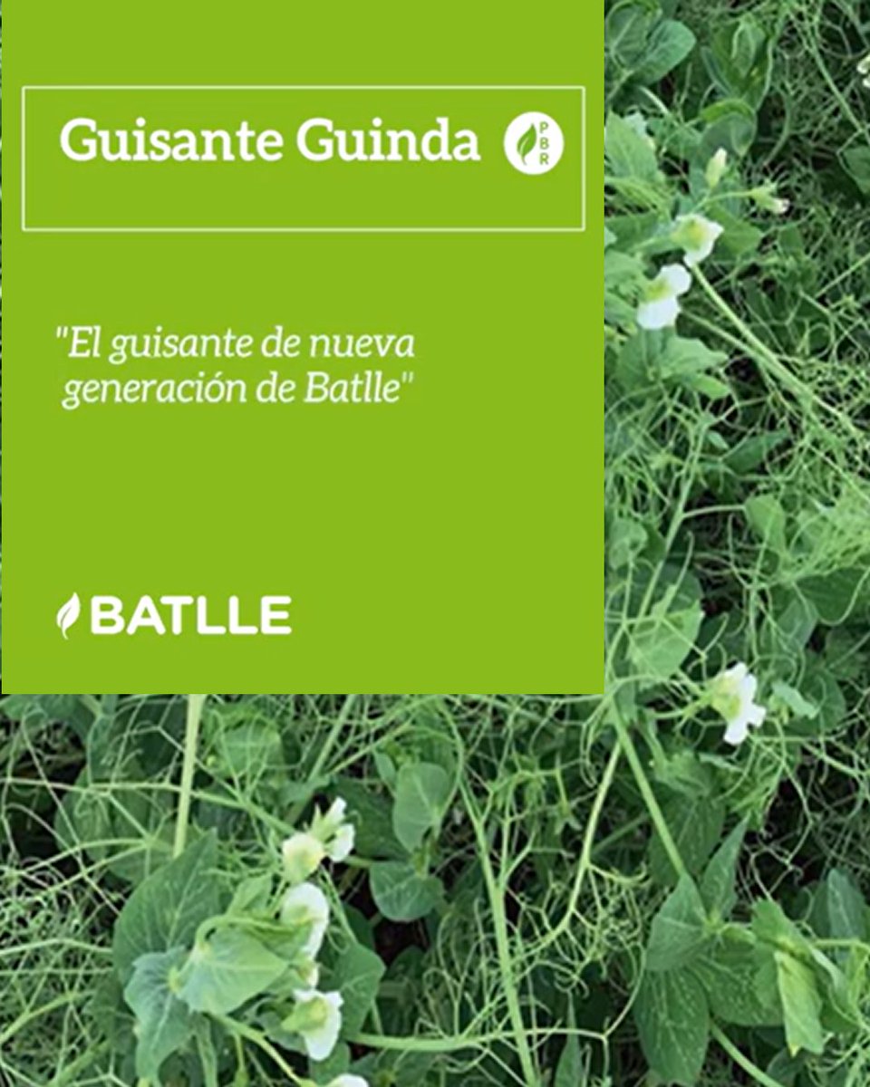 Infoagro tweet media