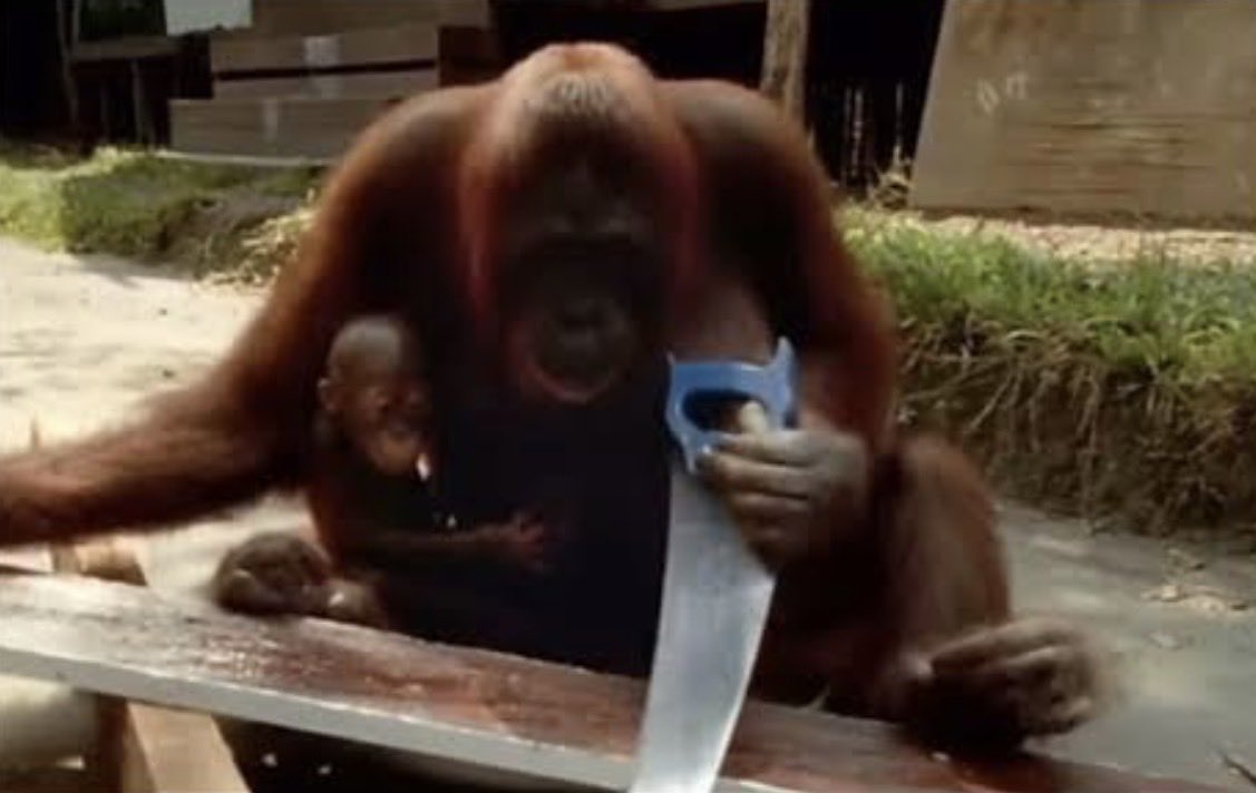 Pascal-Emmanuel Gobry tweet media