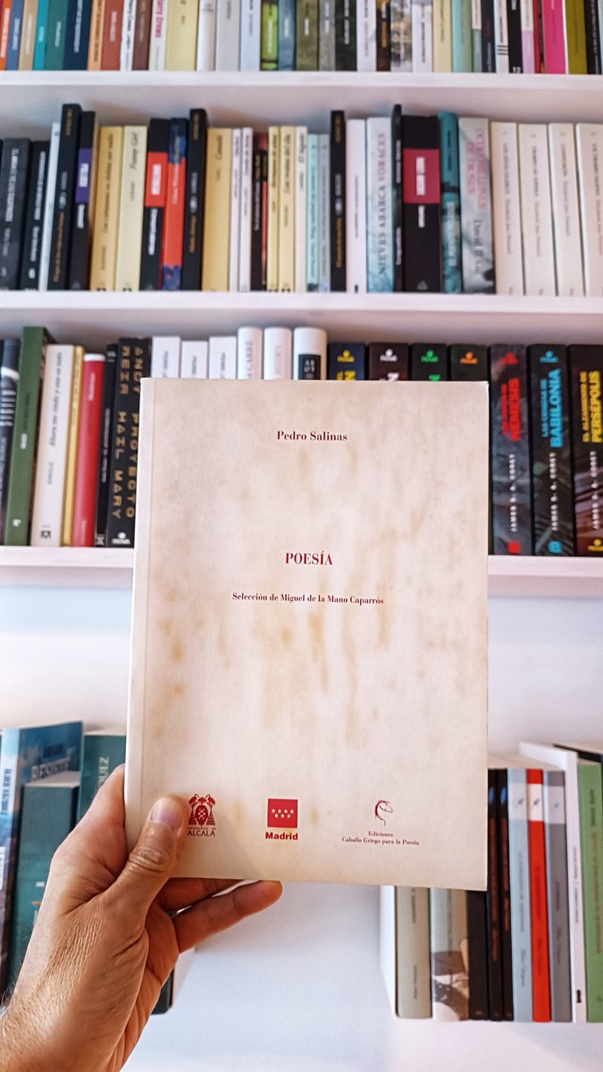 Álber Vázquez tweet media