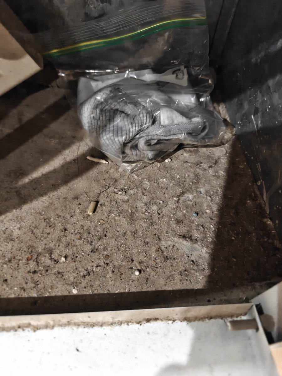 小圆圆 tweet media