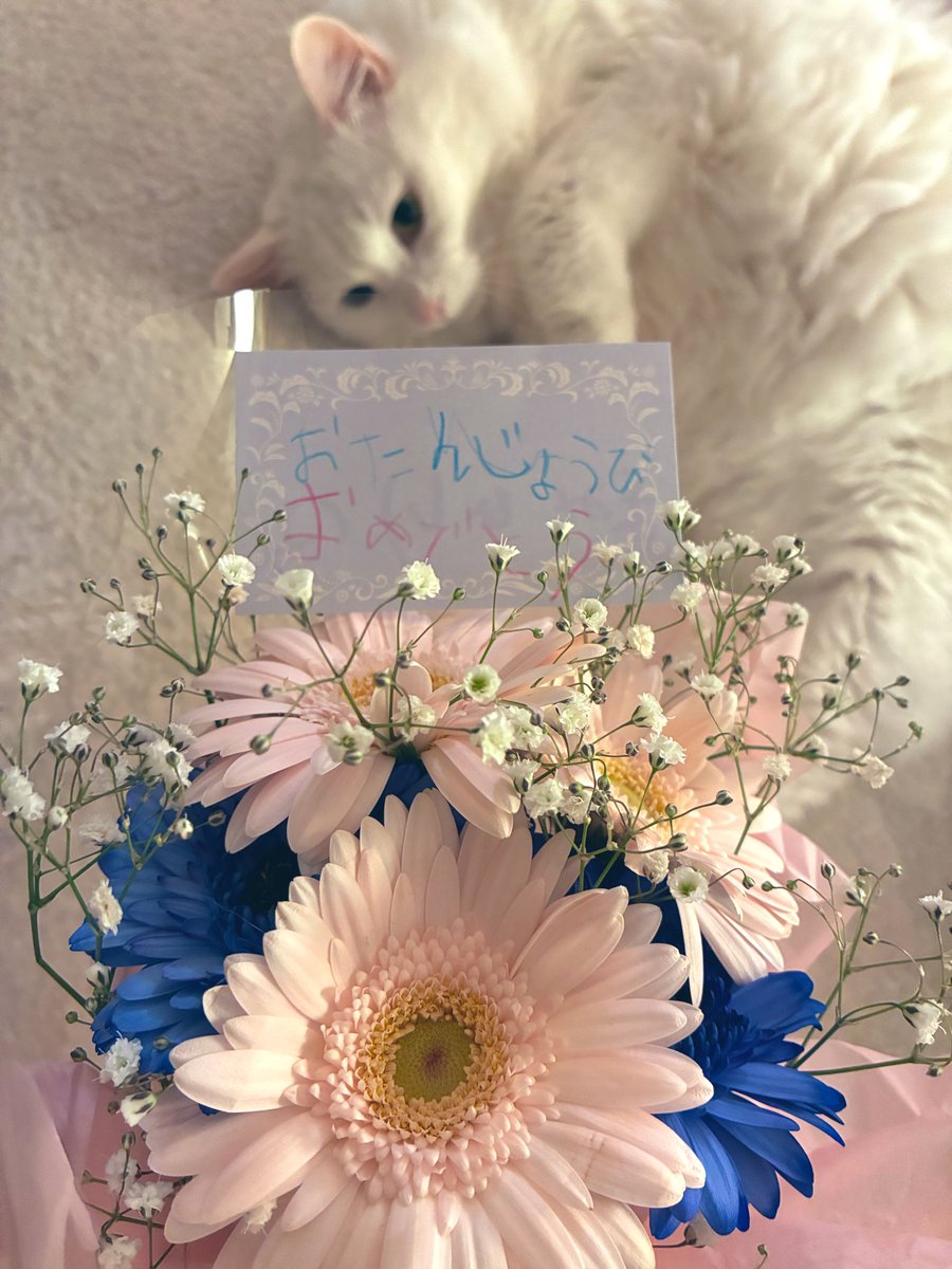 奥華子 tweet media