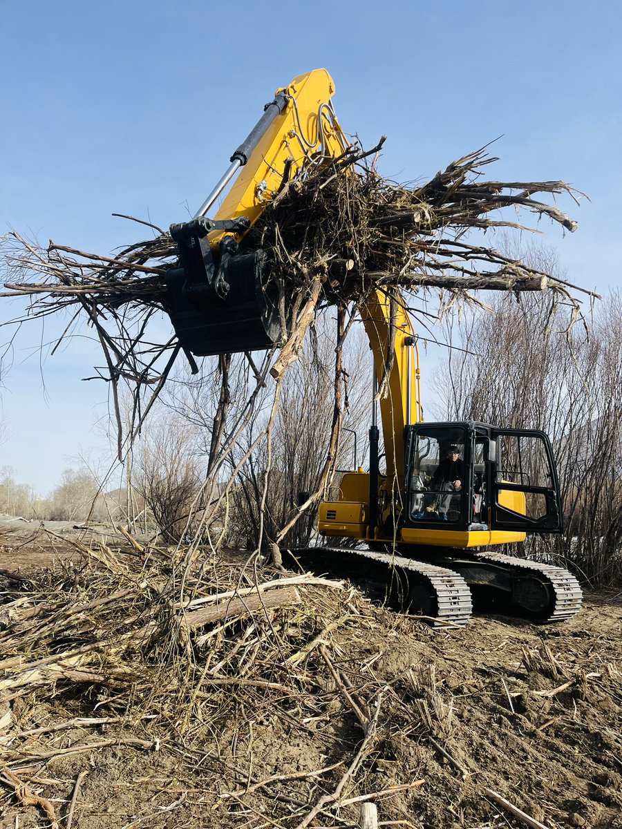 munkhbold tweet media