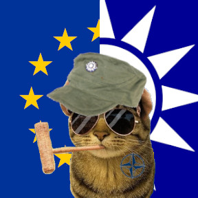 FortIS 🇪🇺🌐🇺🇦🇬🇱🇽🇰🇹🇼 | 🐱🦉 tweet media