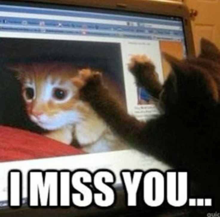 timely illuga tweet media