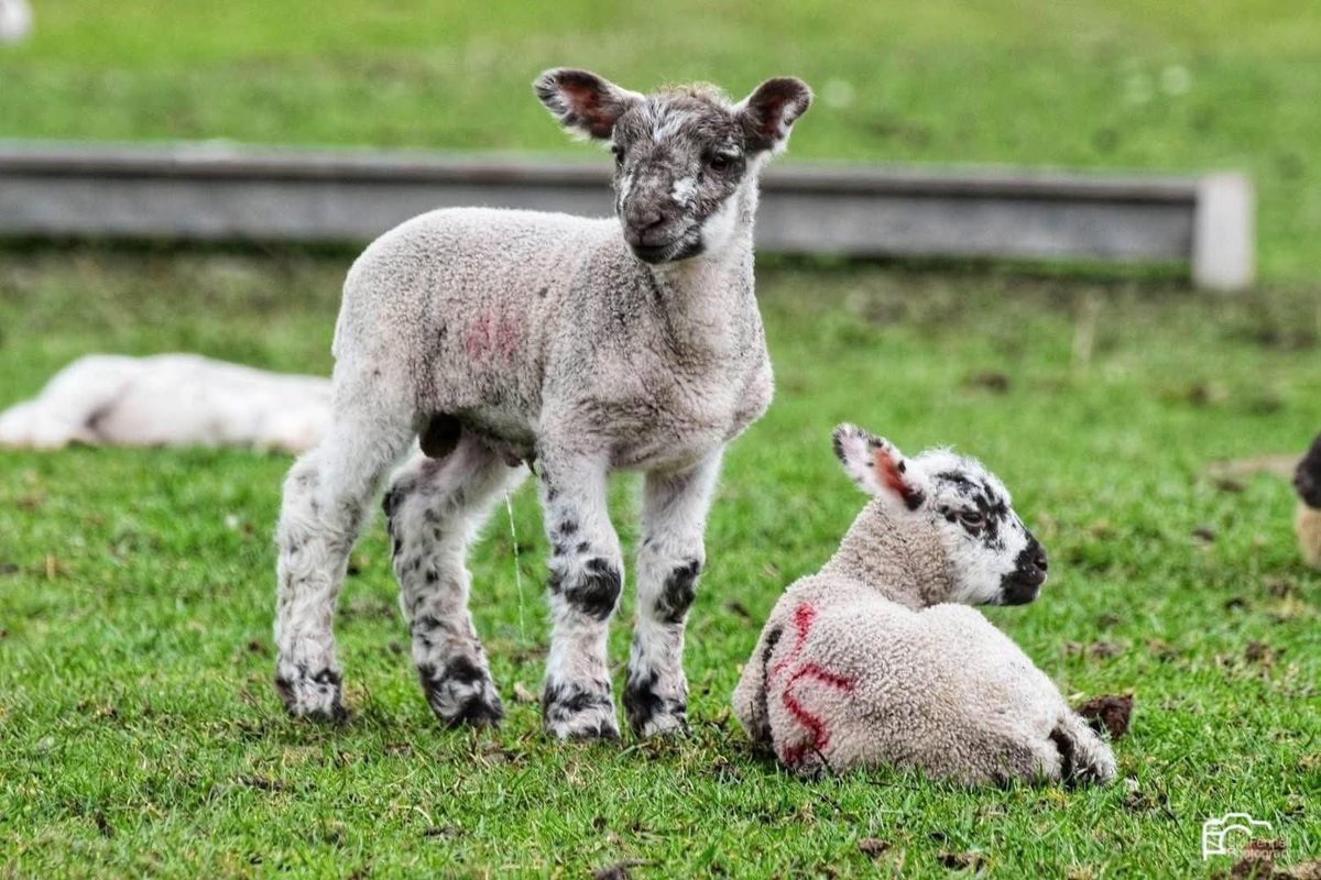 Solihull Updates tweet media