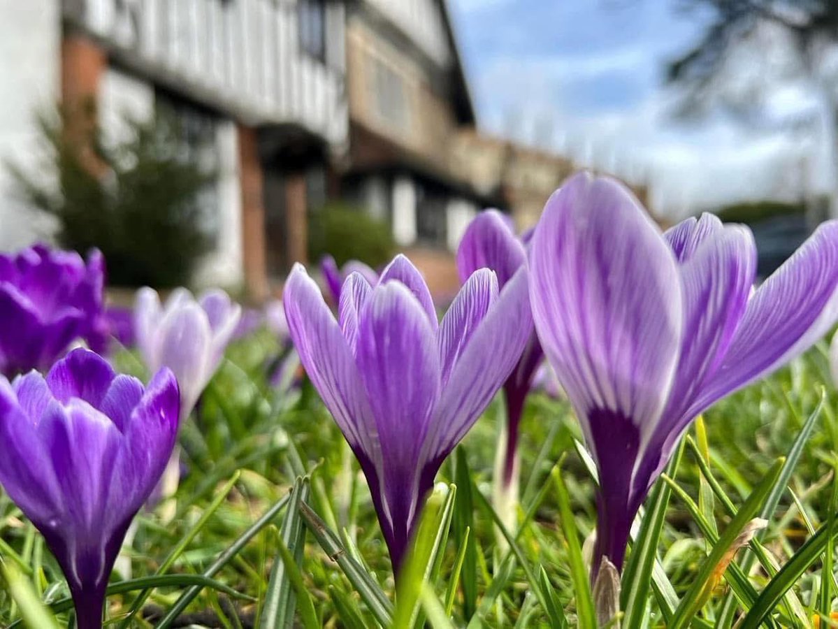 Solihull Updates tweet media