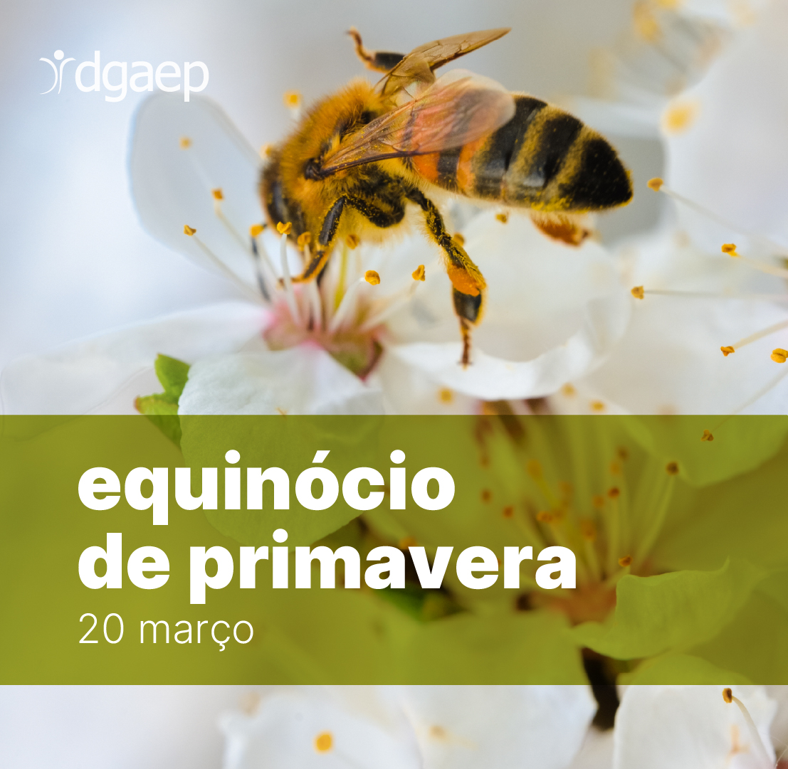 DGAEP | Direção-Geral da Adm. e Emprego Público tweet media