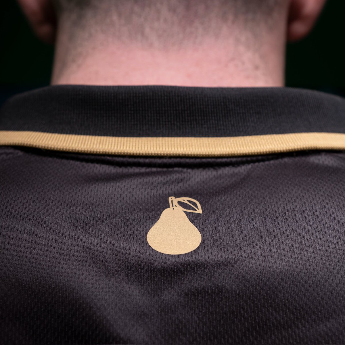 IlloUpdates 👽 tweet media