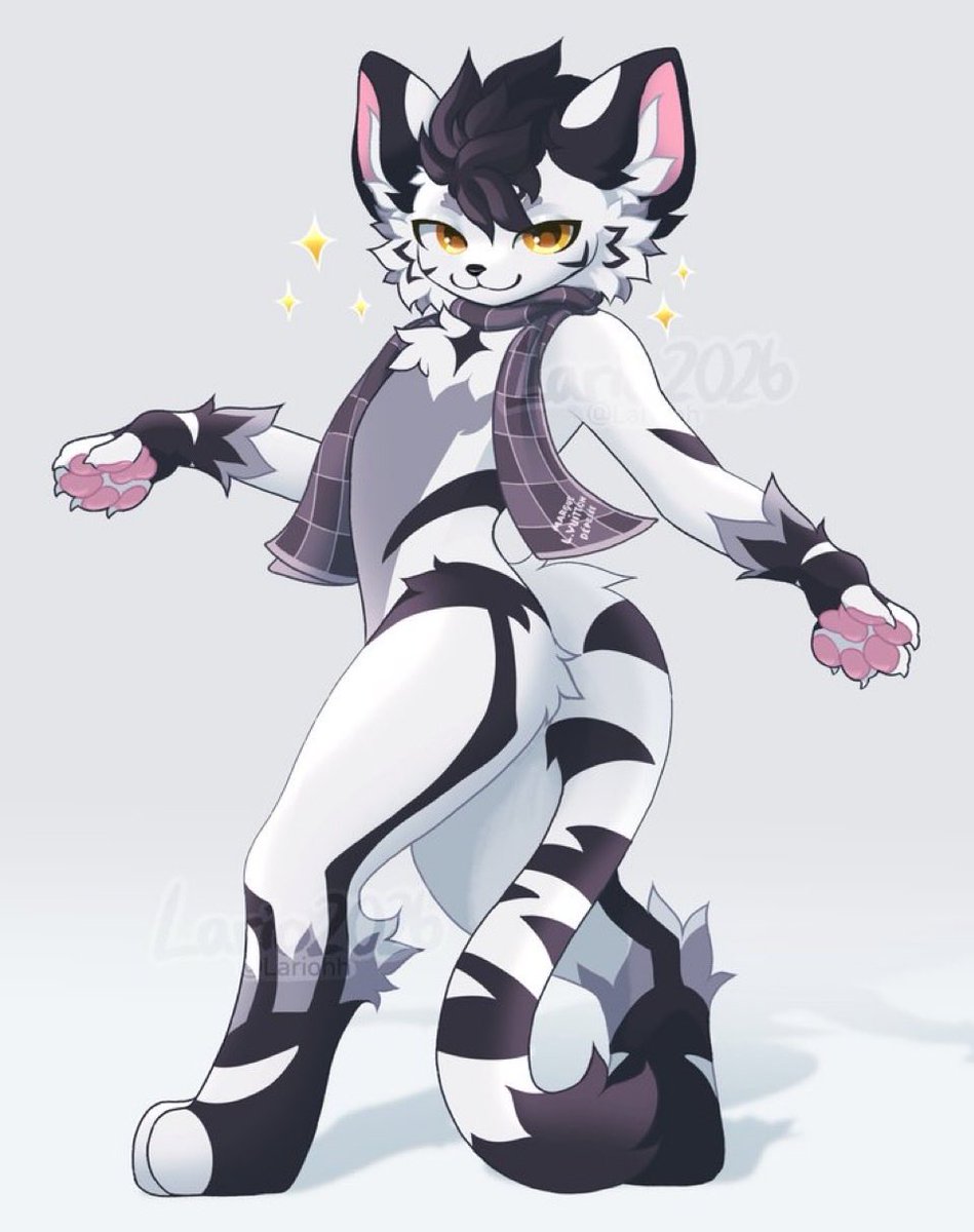 The Đoodle tweet media