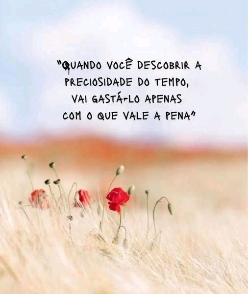 Frases e Versos tweet media