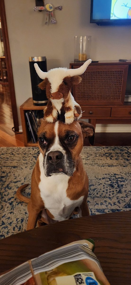 Sean M. Foster tweet media