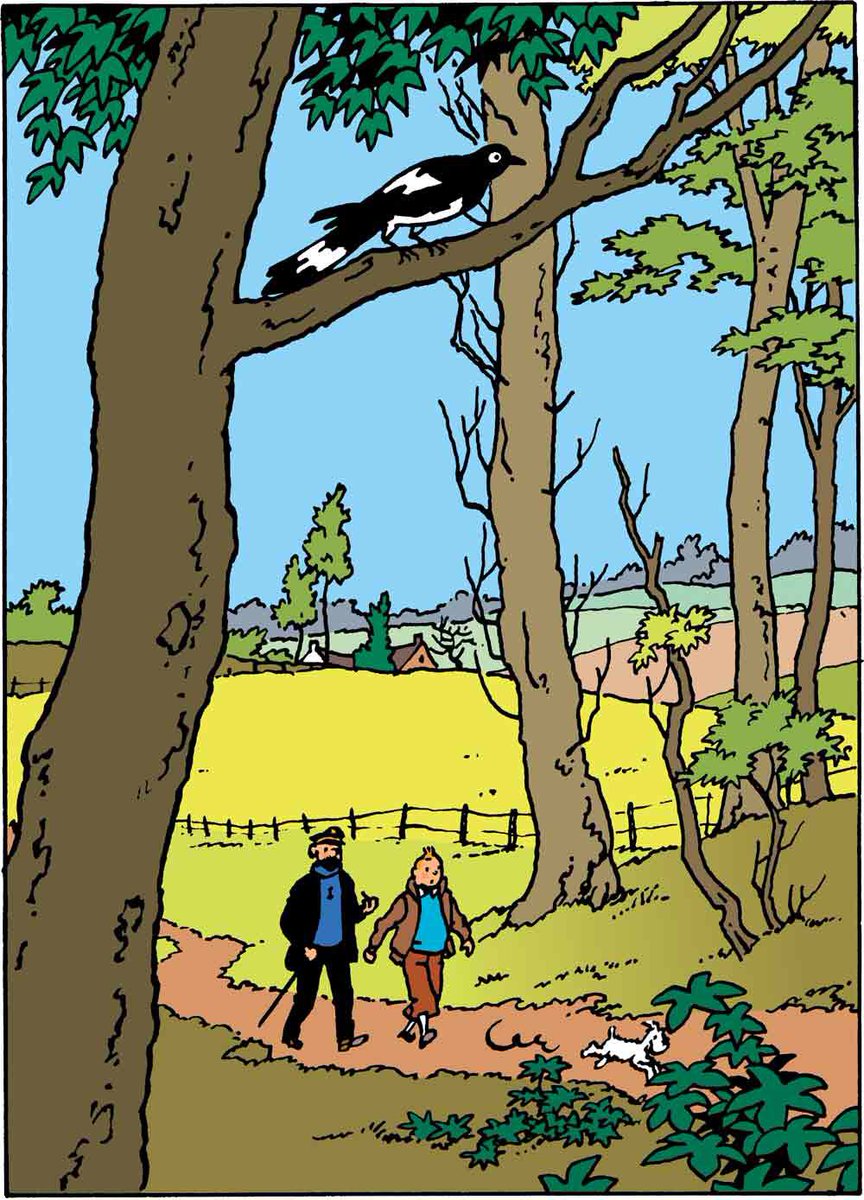 Clelia Antuña tweet media