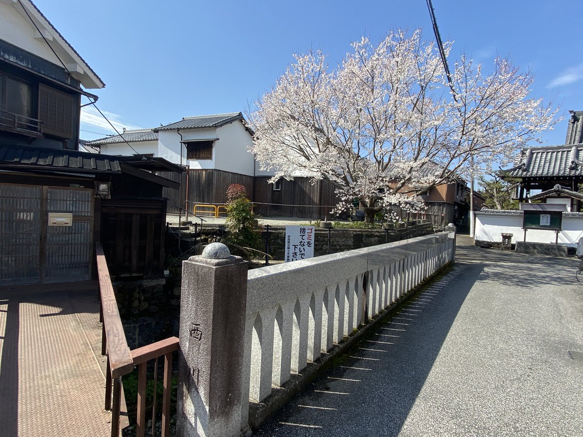 アート tweet media