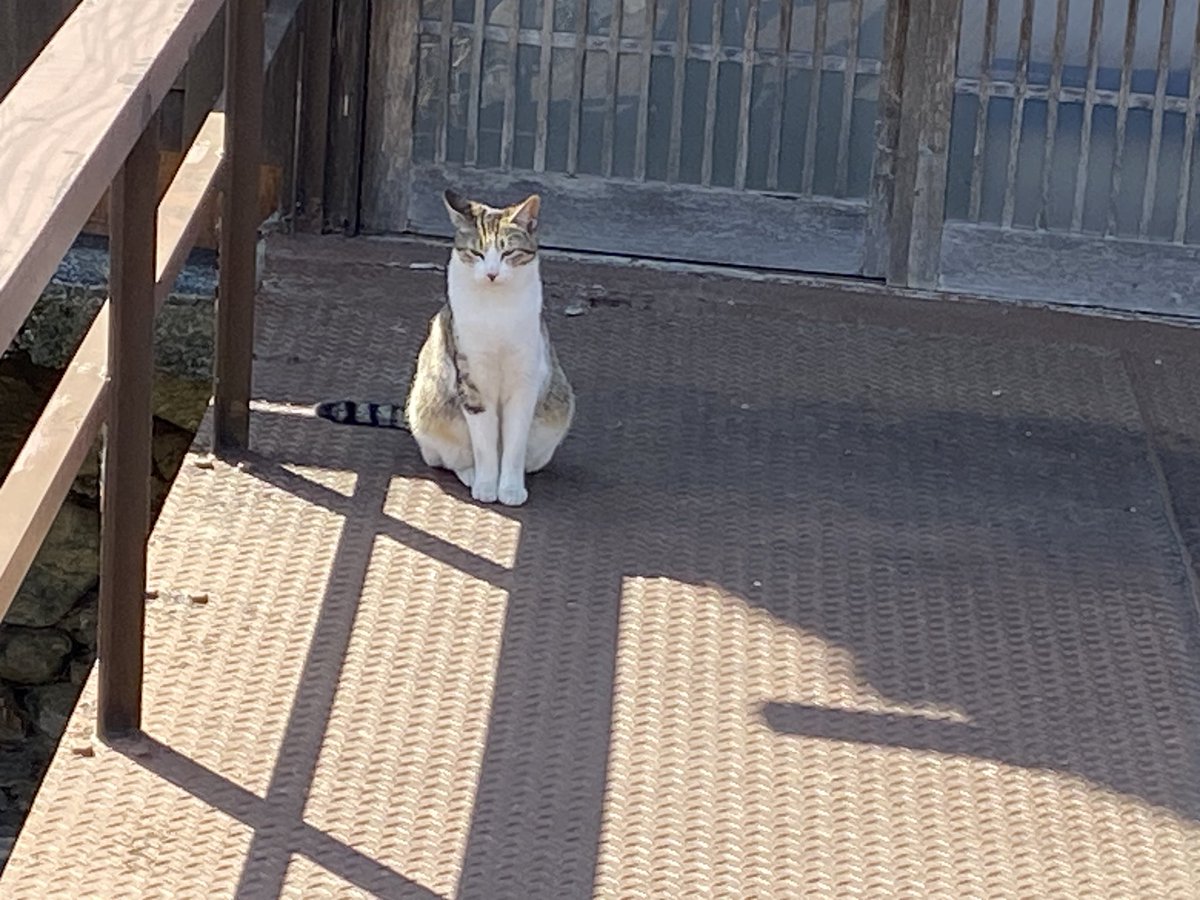 アート tweet media