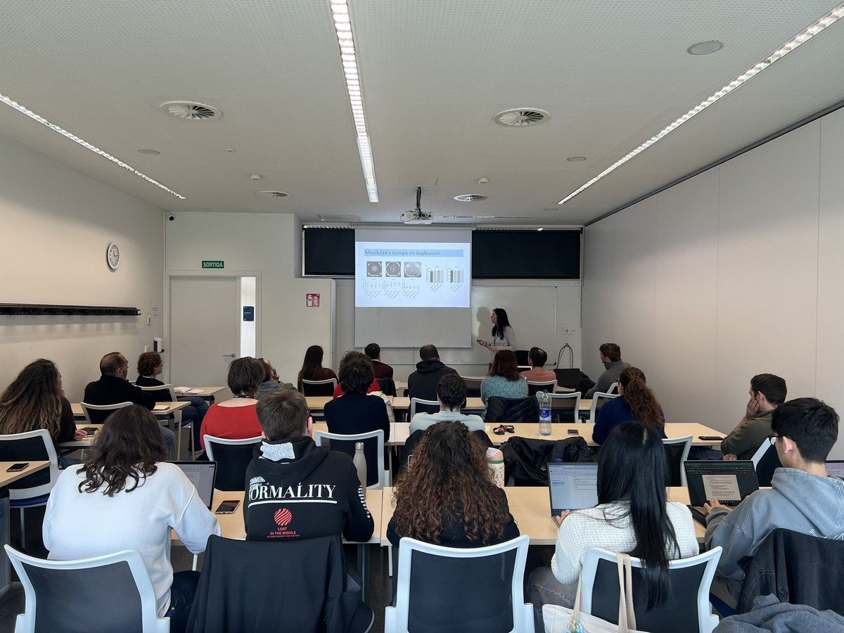 arpbigidisba tweet media