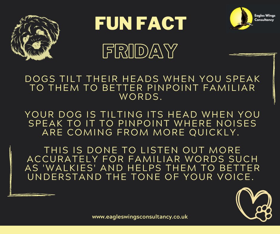 John McDonald tweet media