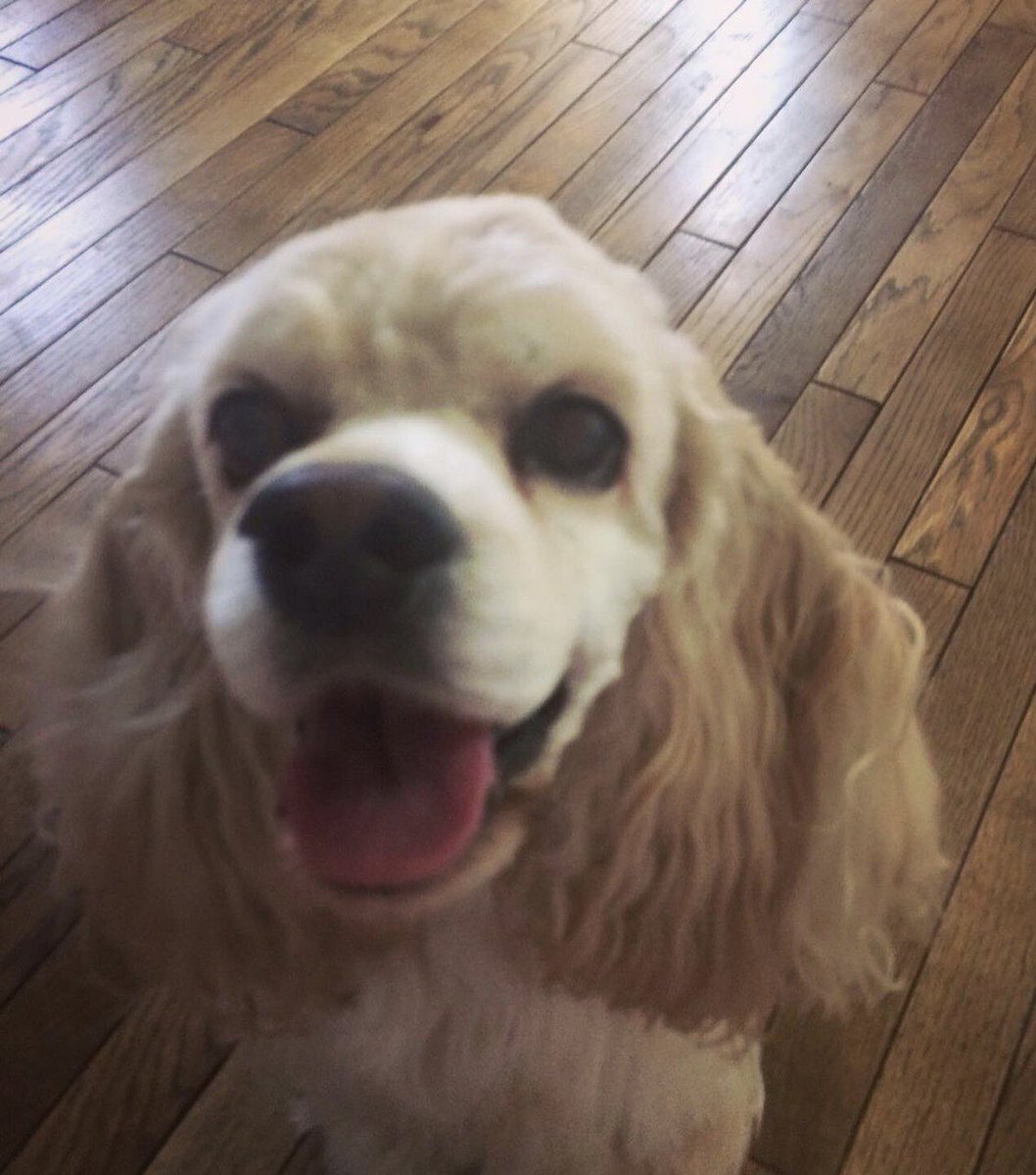 🐕‍🦺MJ🐕‍🦺 tweet media