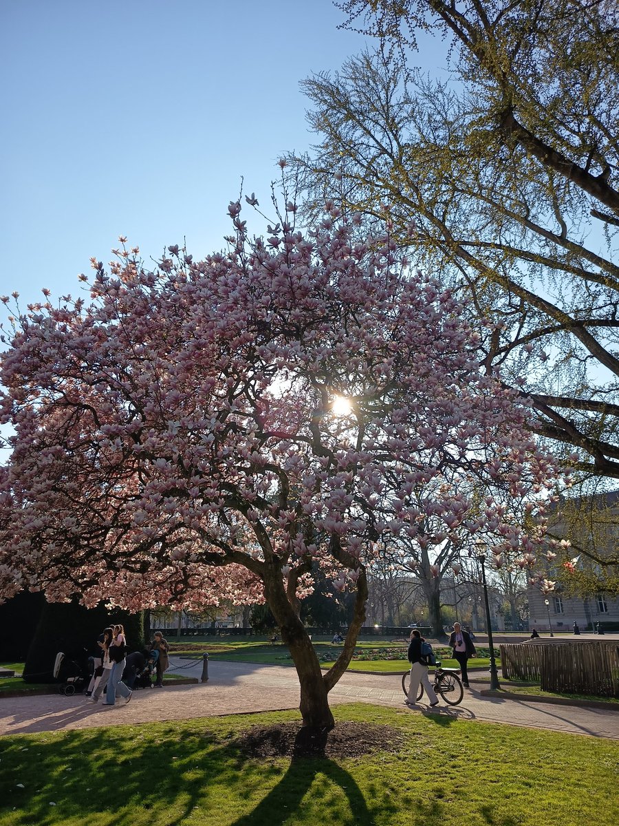 Céline Clément tweet media