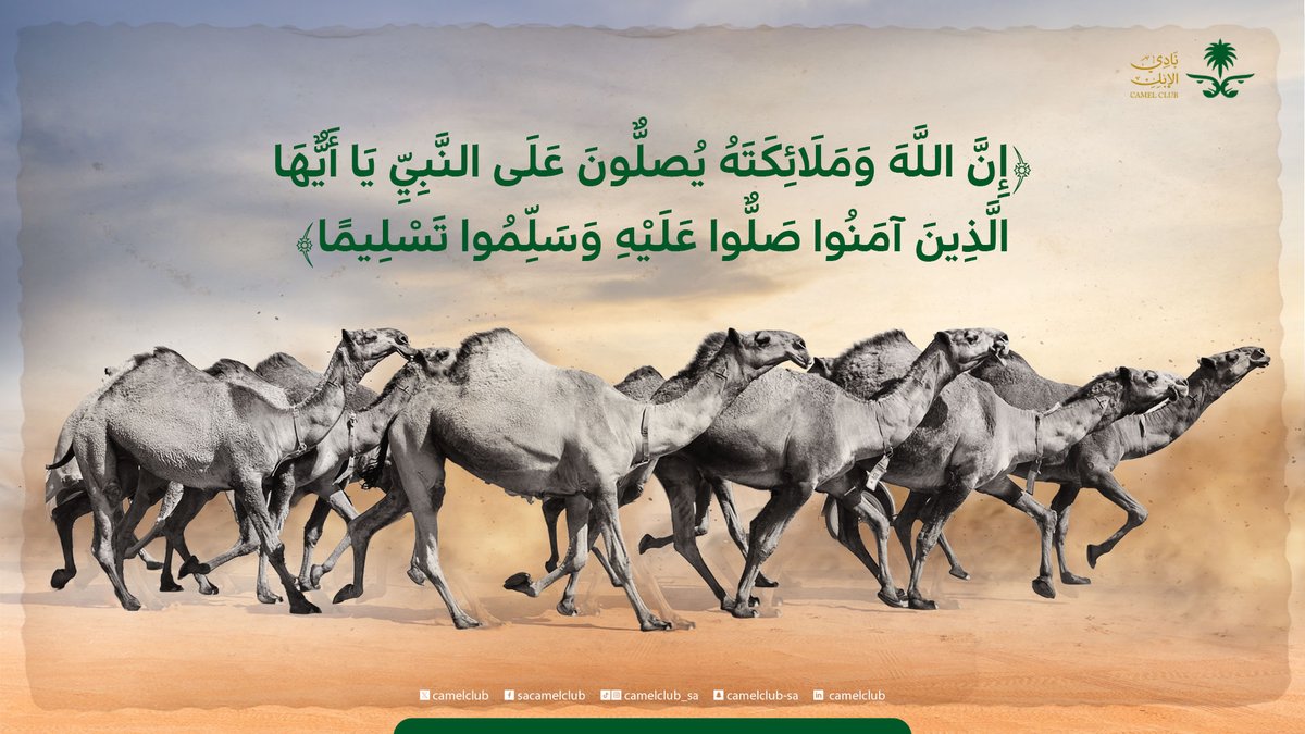 نادي الإبل tweet media