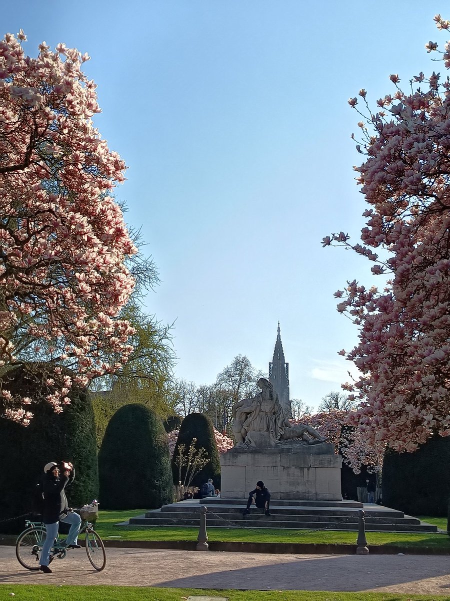 Céline Clément tweet media