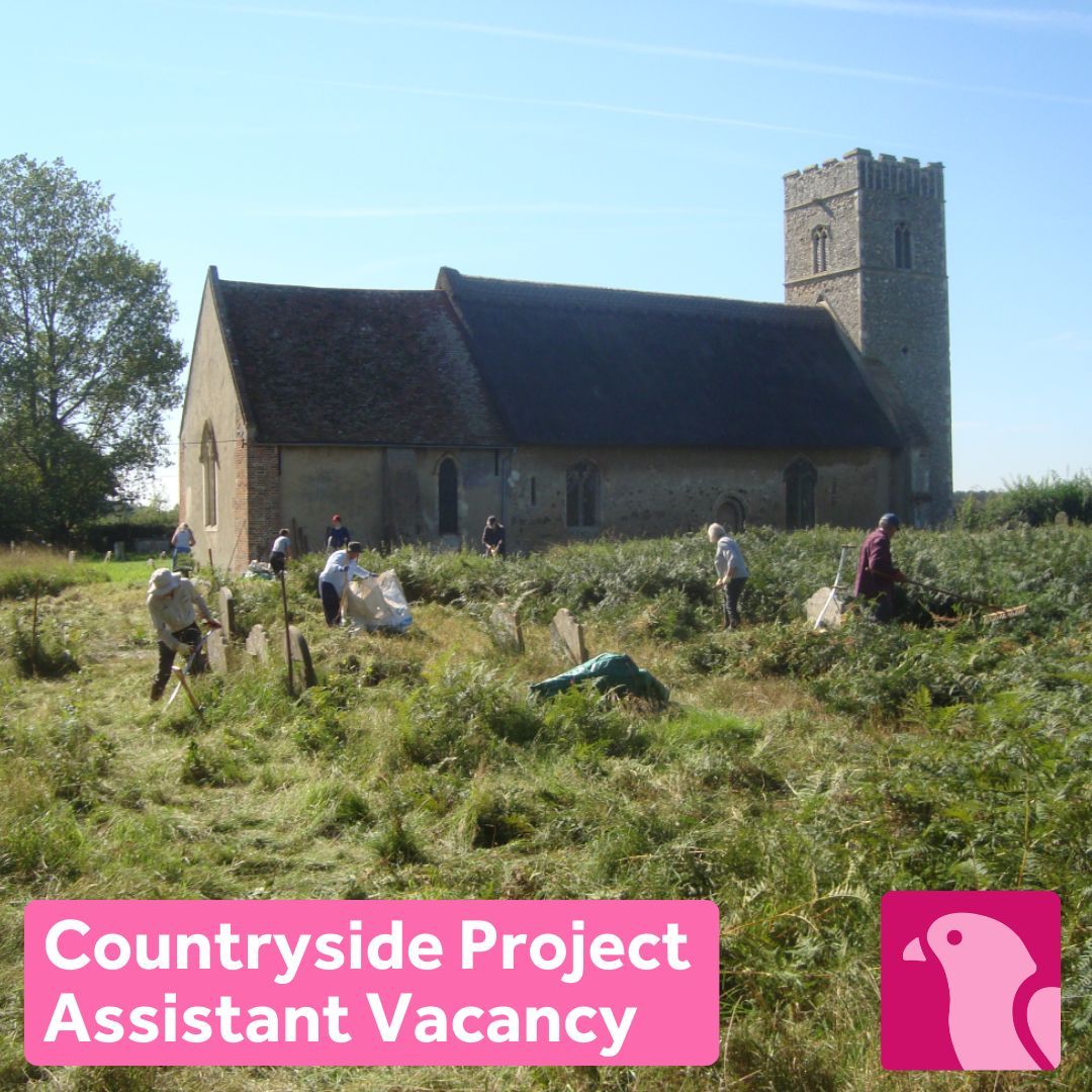 Suffolk & Essex Coast & Heaths National Landscape tweet media