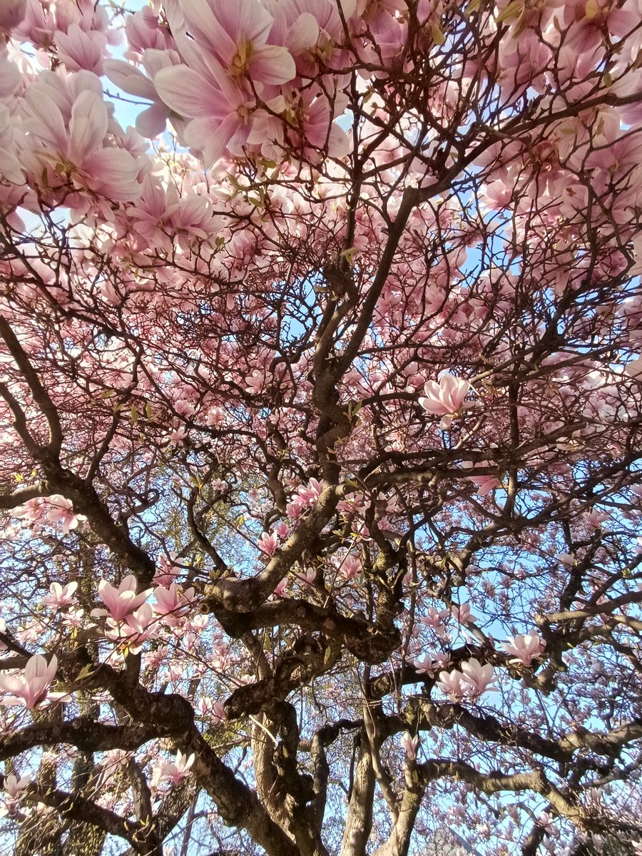 Céline Clément tweet media