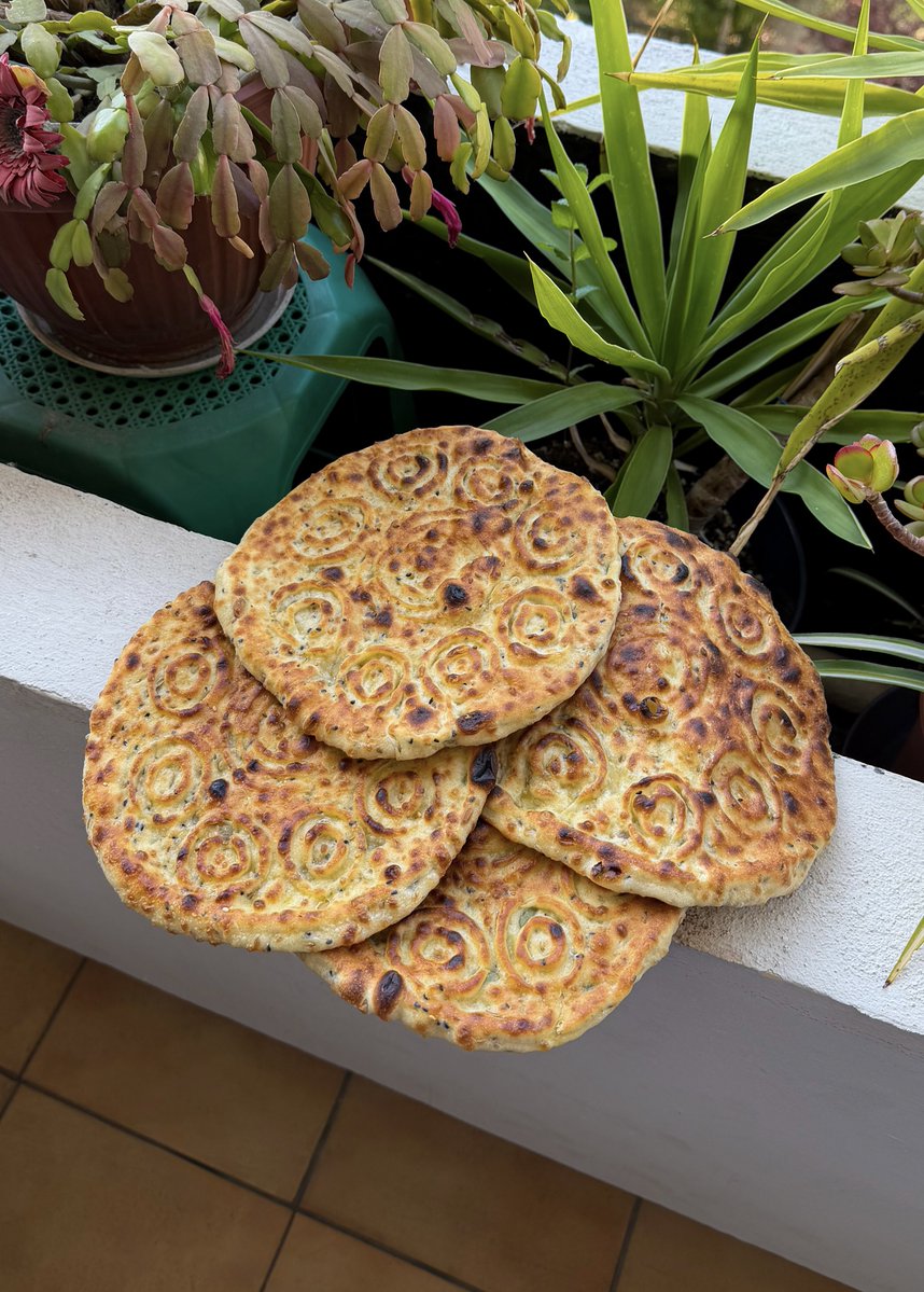 مُضَر | Modar tweet media