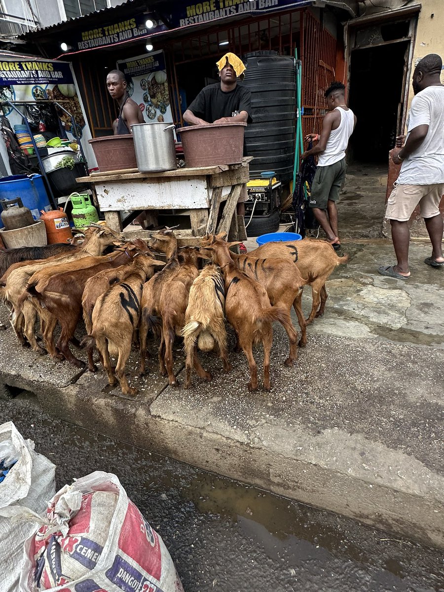 willinill! tweet media