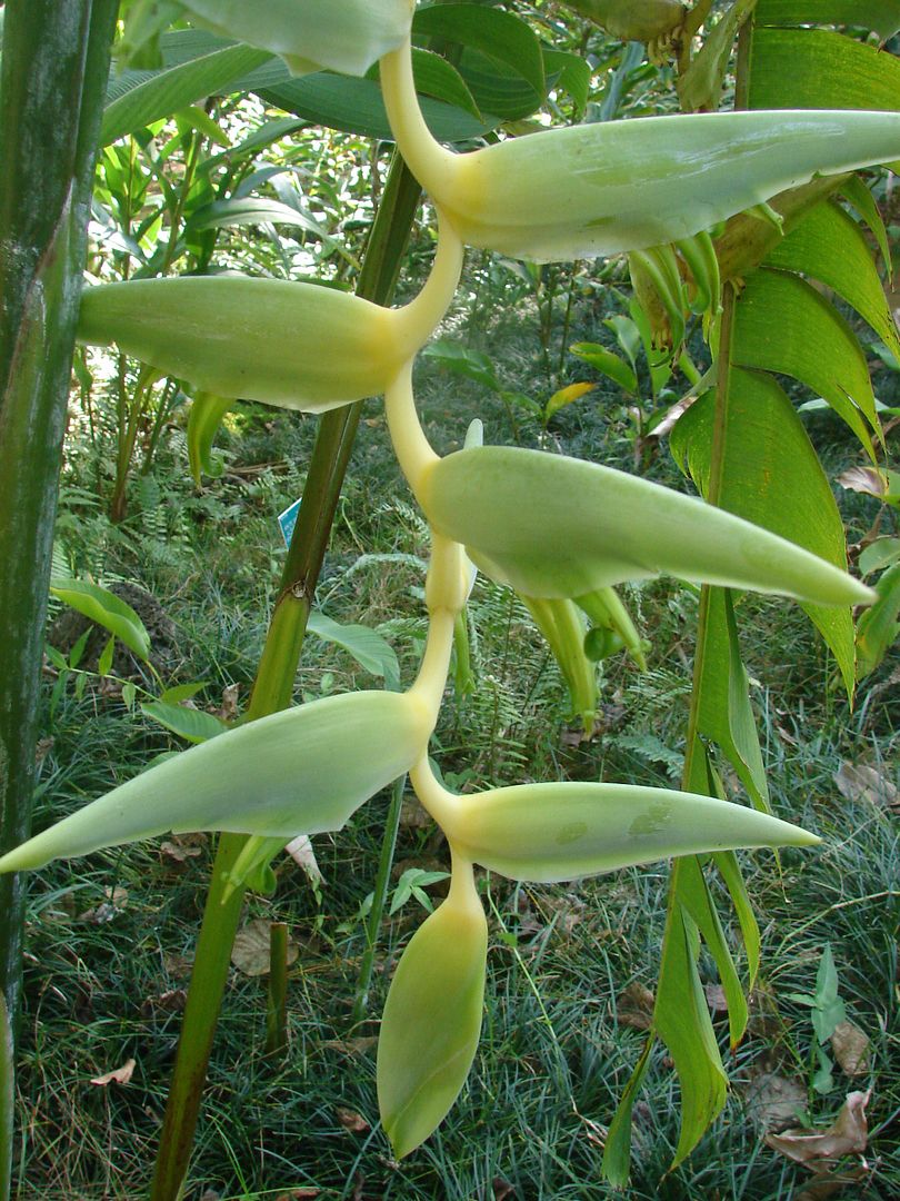 Nathan Thurmond tweet media