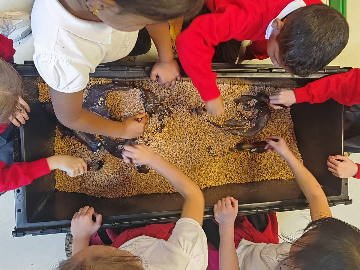 Springfield Primary School | Bedford tweet media