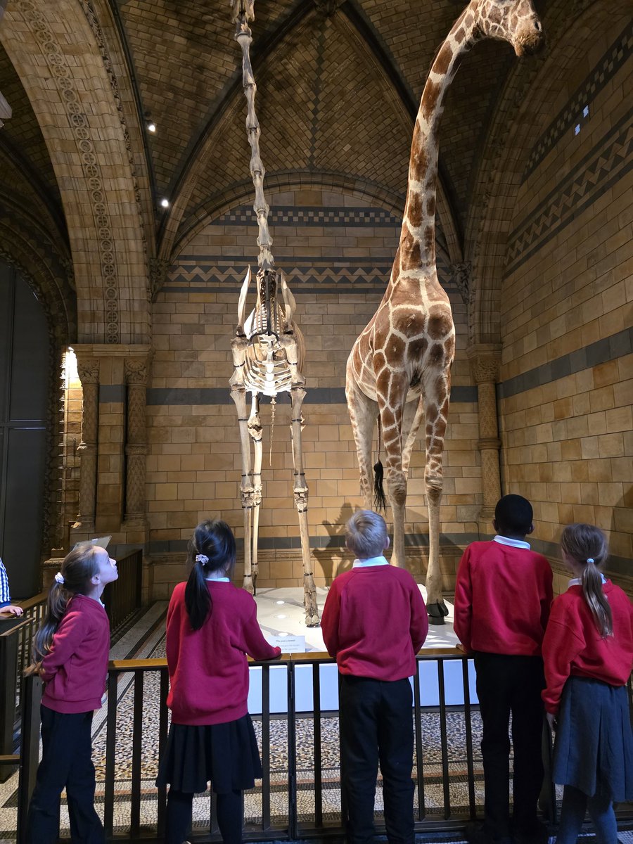 Springfield Primary School | Bedford tweet media