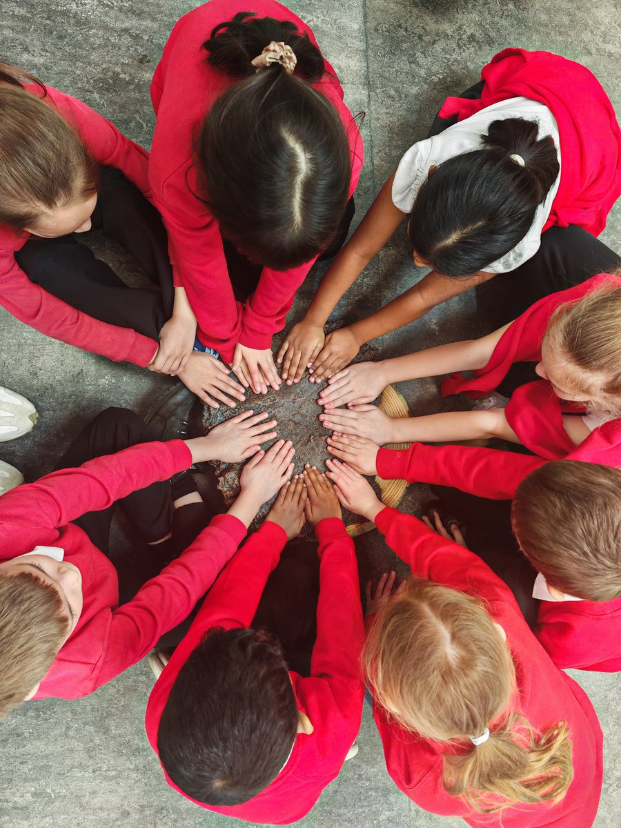 Springfield Primary School | Bedford tweet media