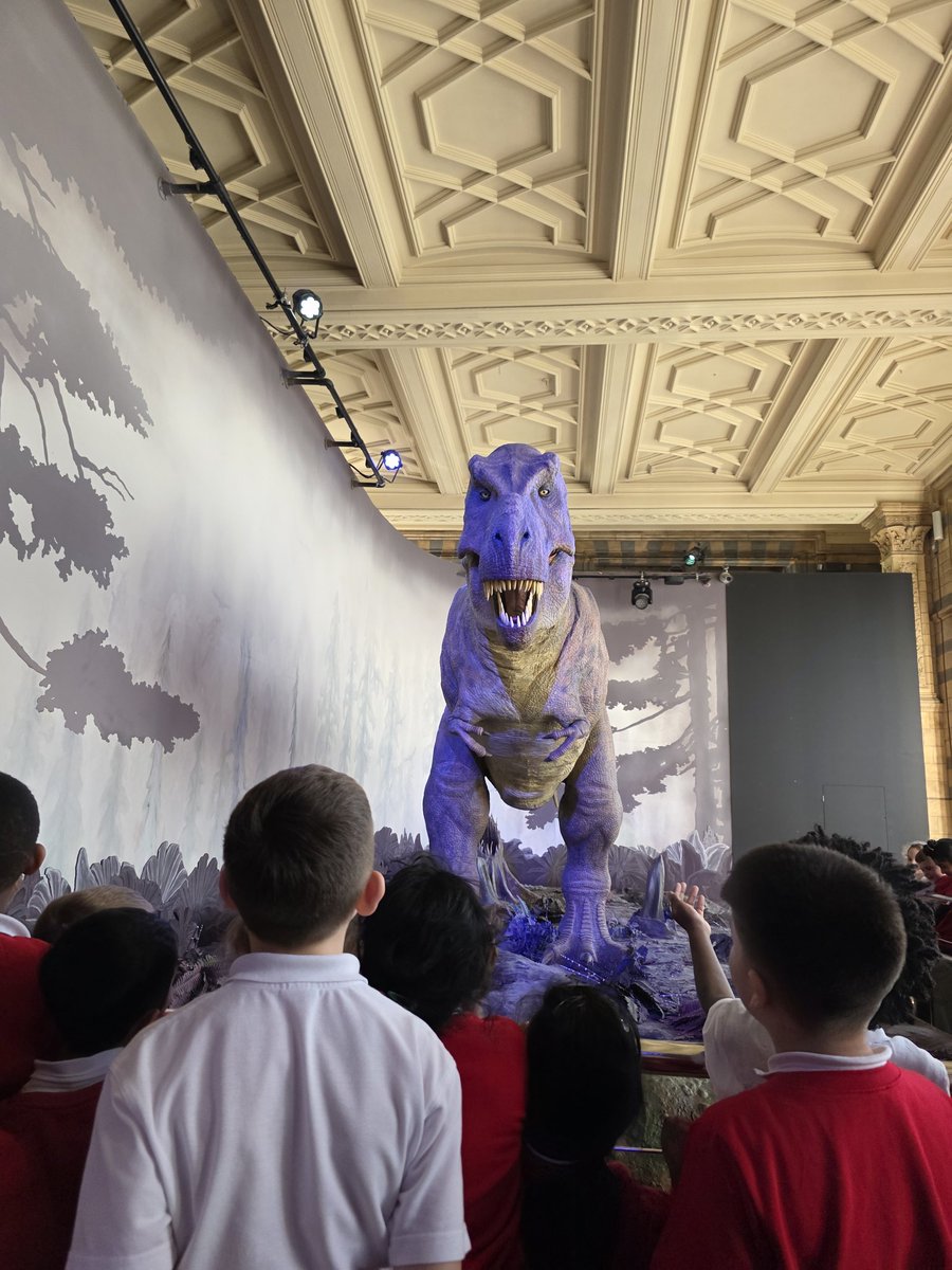 Springfield Primary School | Bedford tweet media