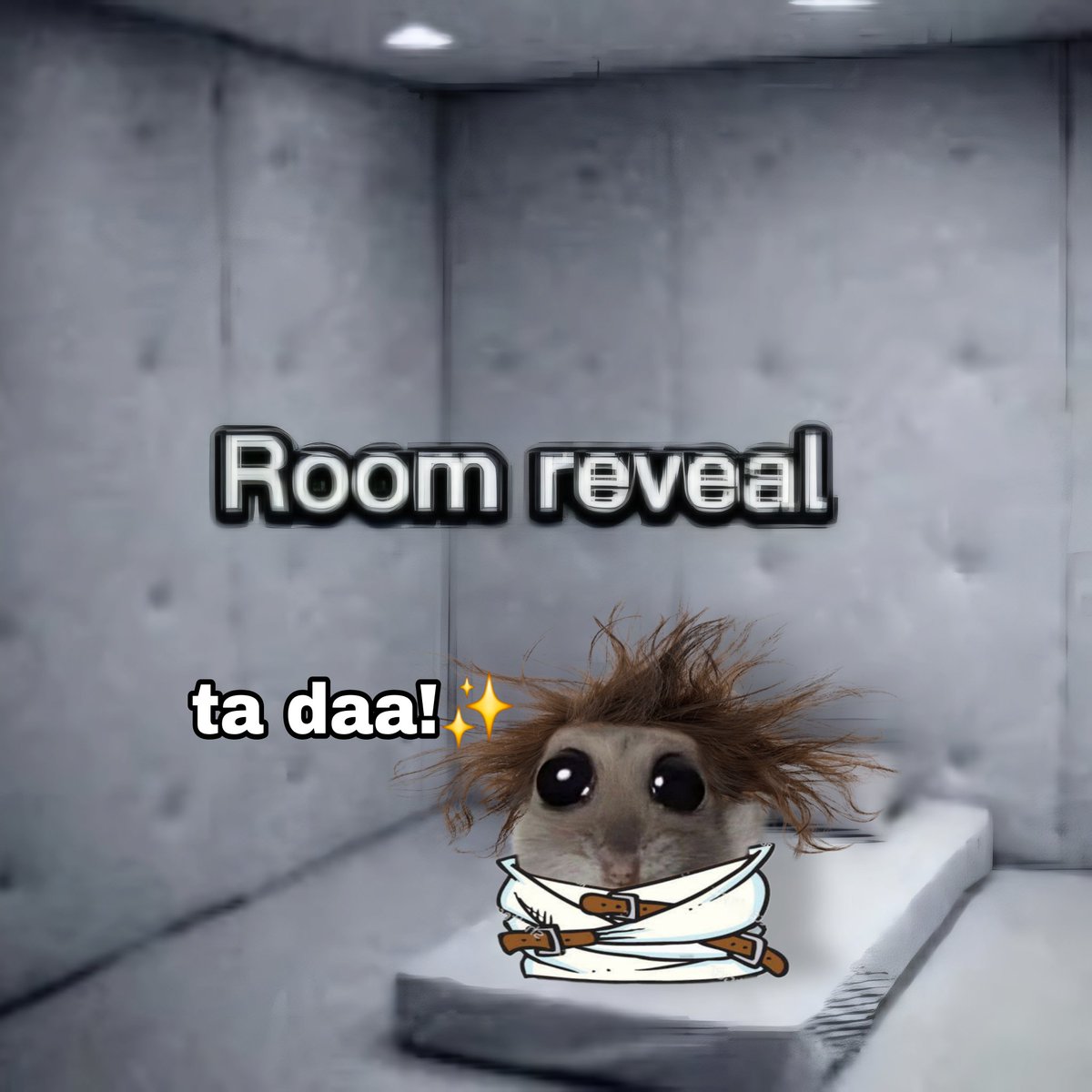 BIOS🐹🎻 tweet media