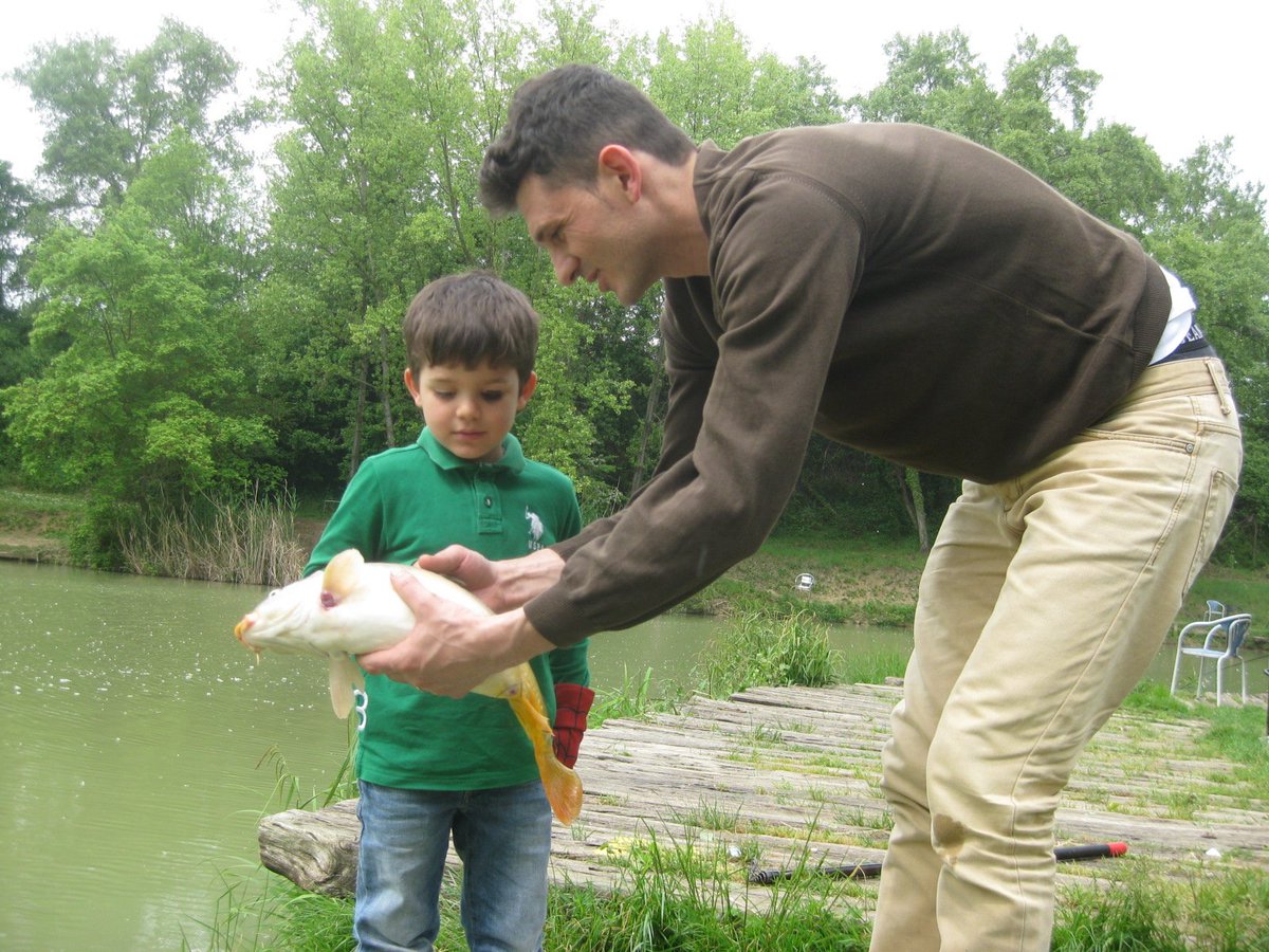 Yasemin Minguzzi tweet media