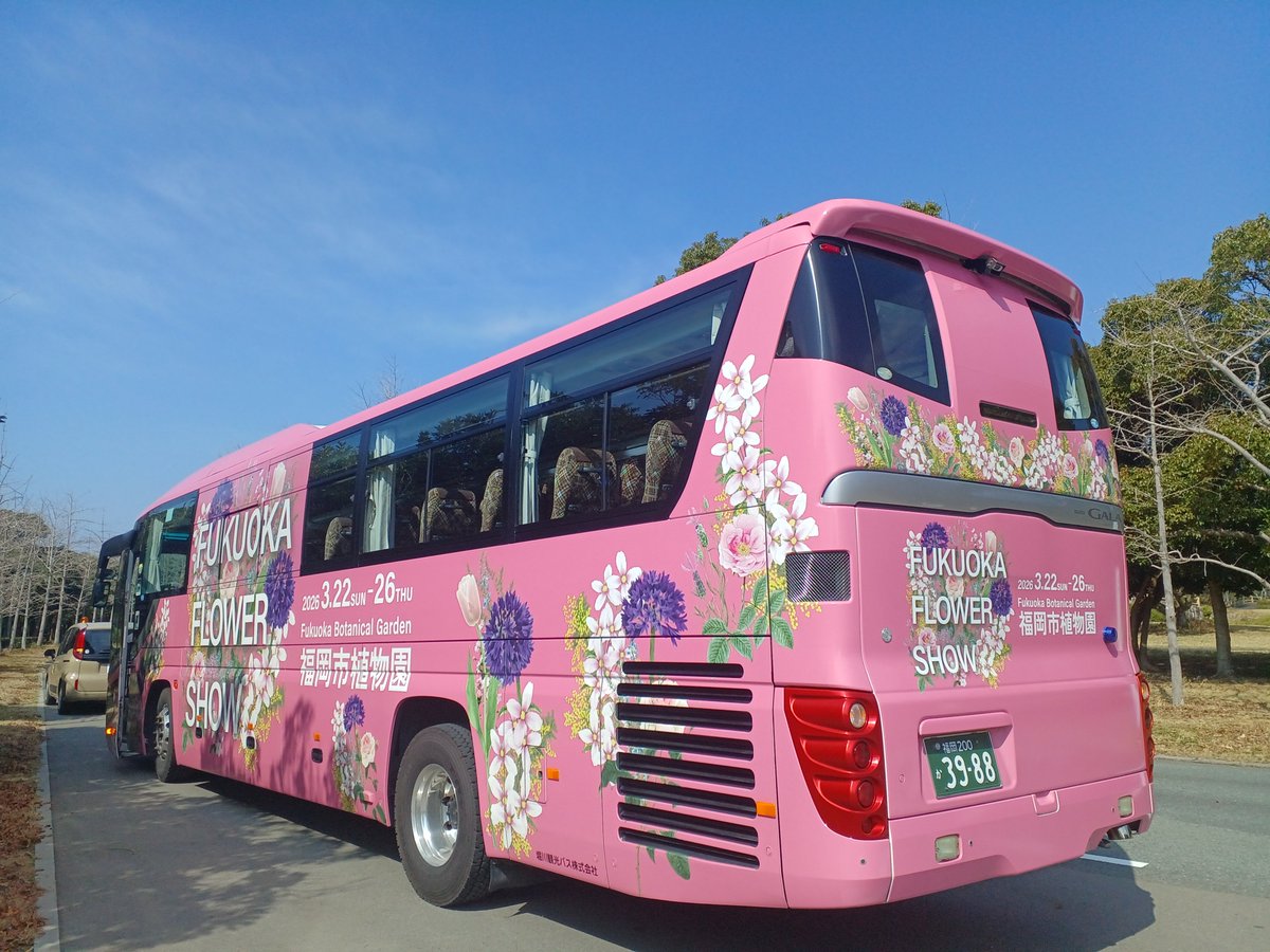 海の中道海浜公園 tweet media