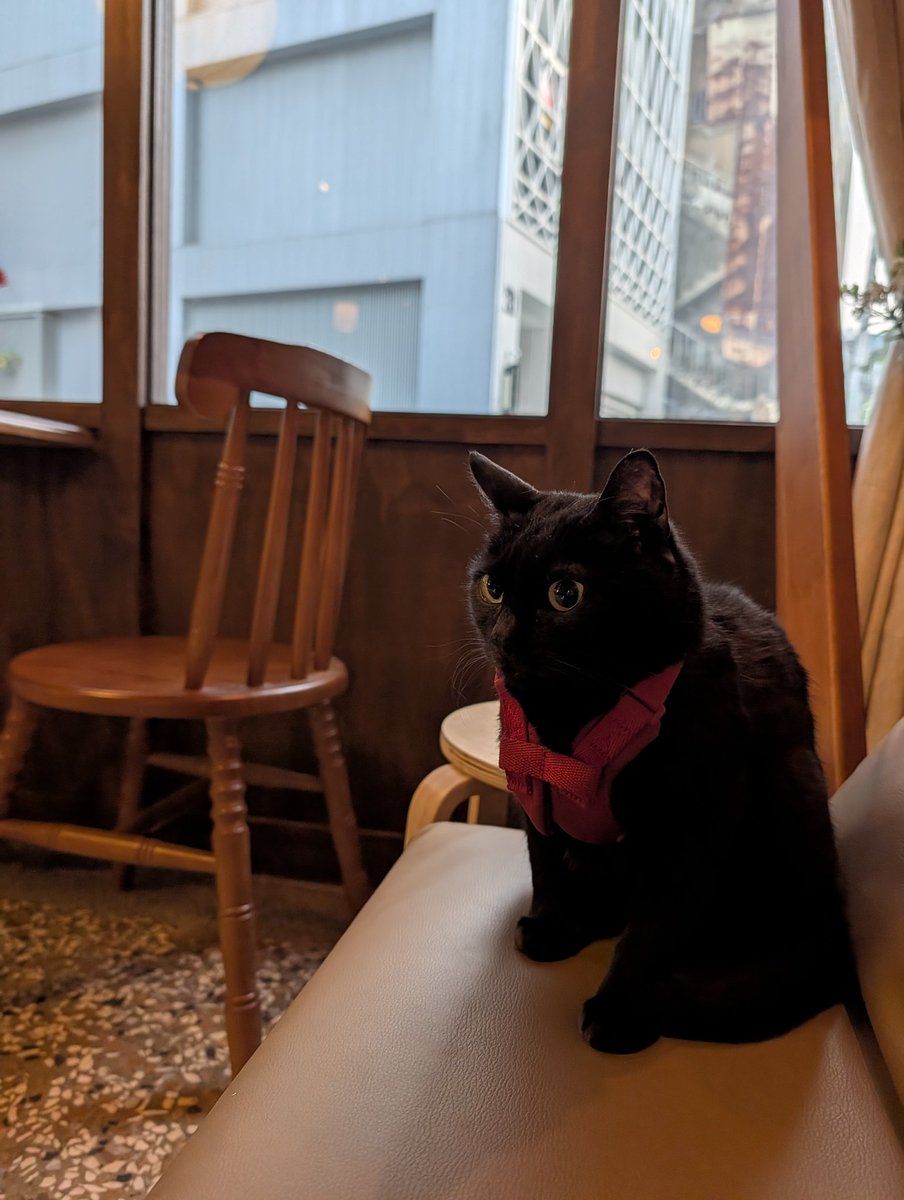 吉力蛋 tweet media