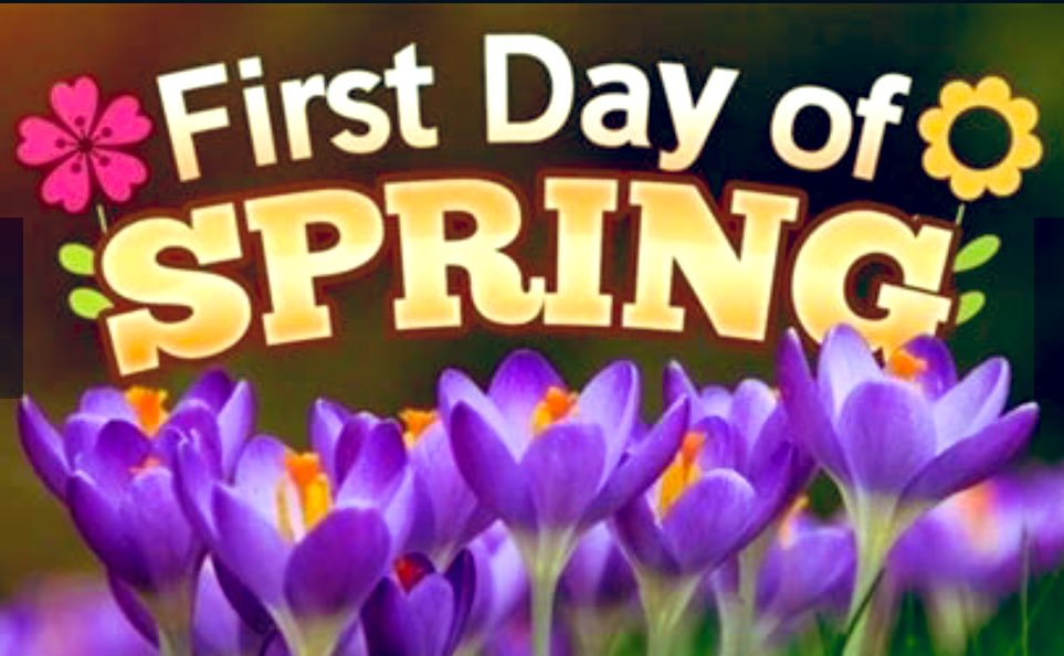 Dan Stamness tweet media