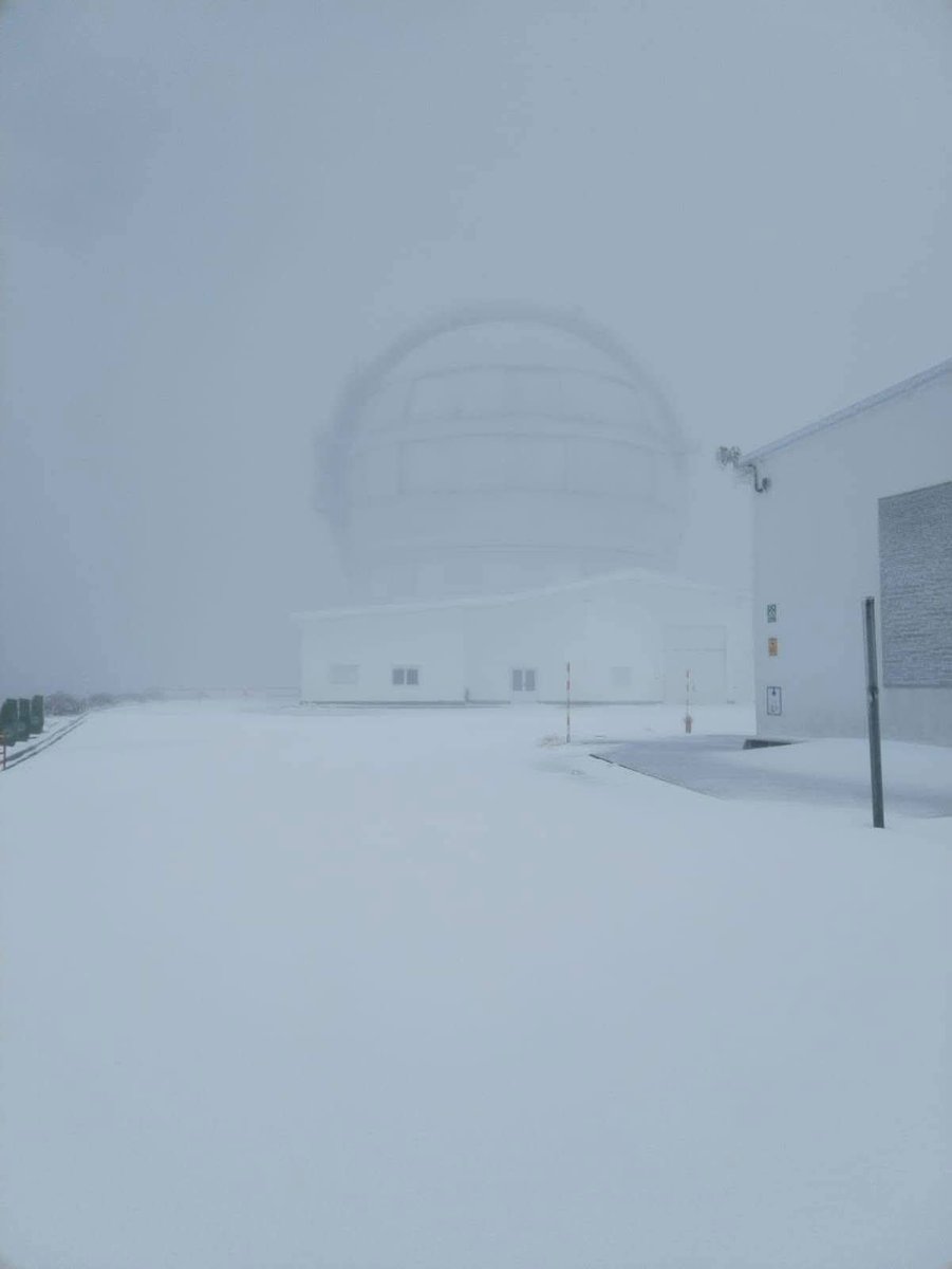 Ultimas Noticias Canarias tweet media