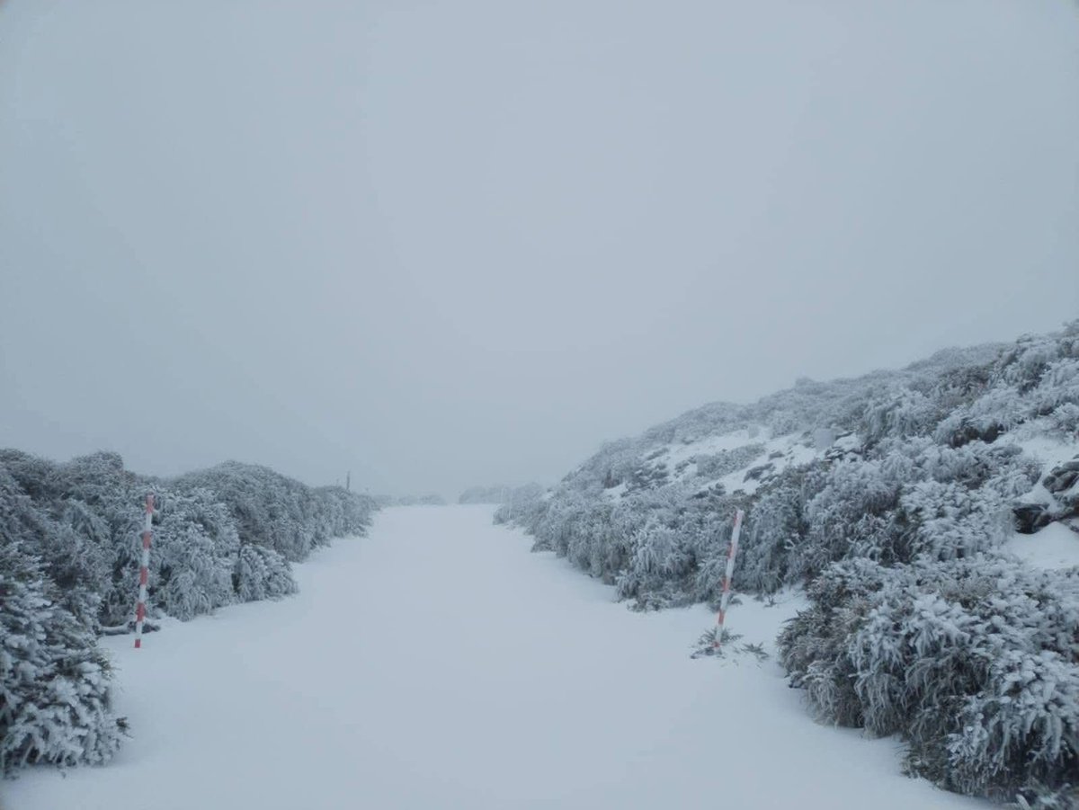 Ultimas Noticias Canarias tweet media