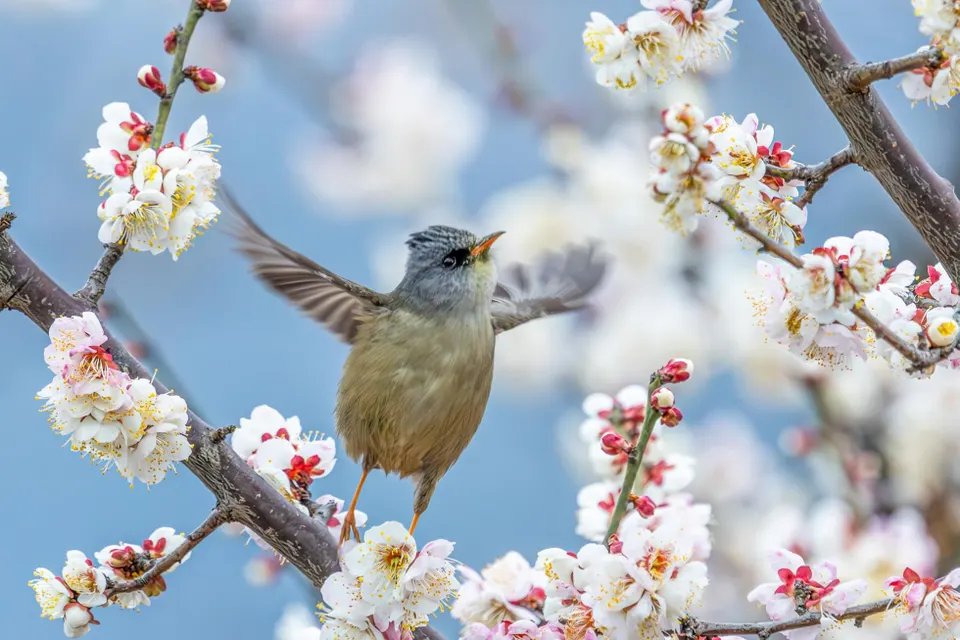 Multiple Frood tweet media