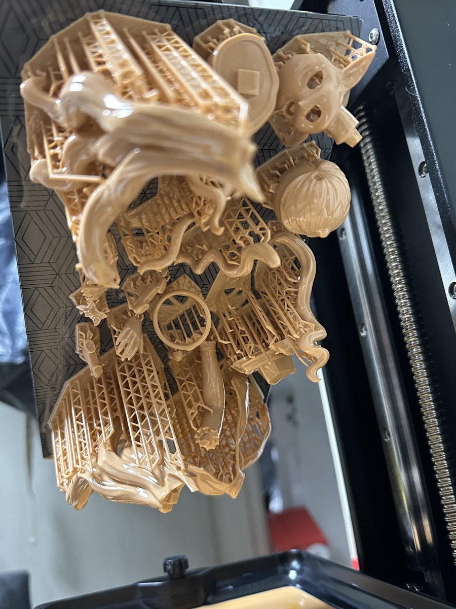 ポリゴ🦋 tweet media