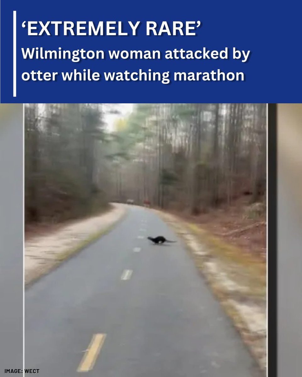 Gruntled CSM tweet media