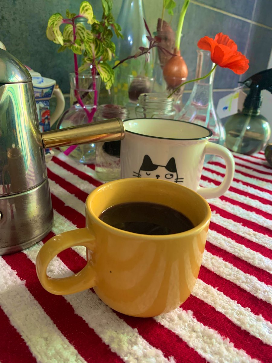 👁 Redgoatqueen🌶️ (Molly) tweet media