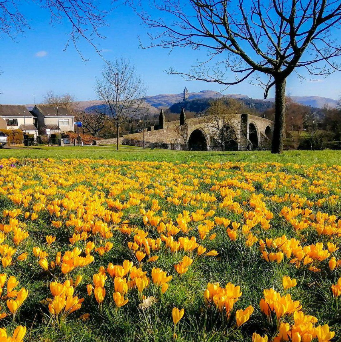 University of Stirling tweet media